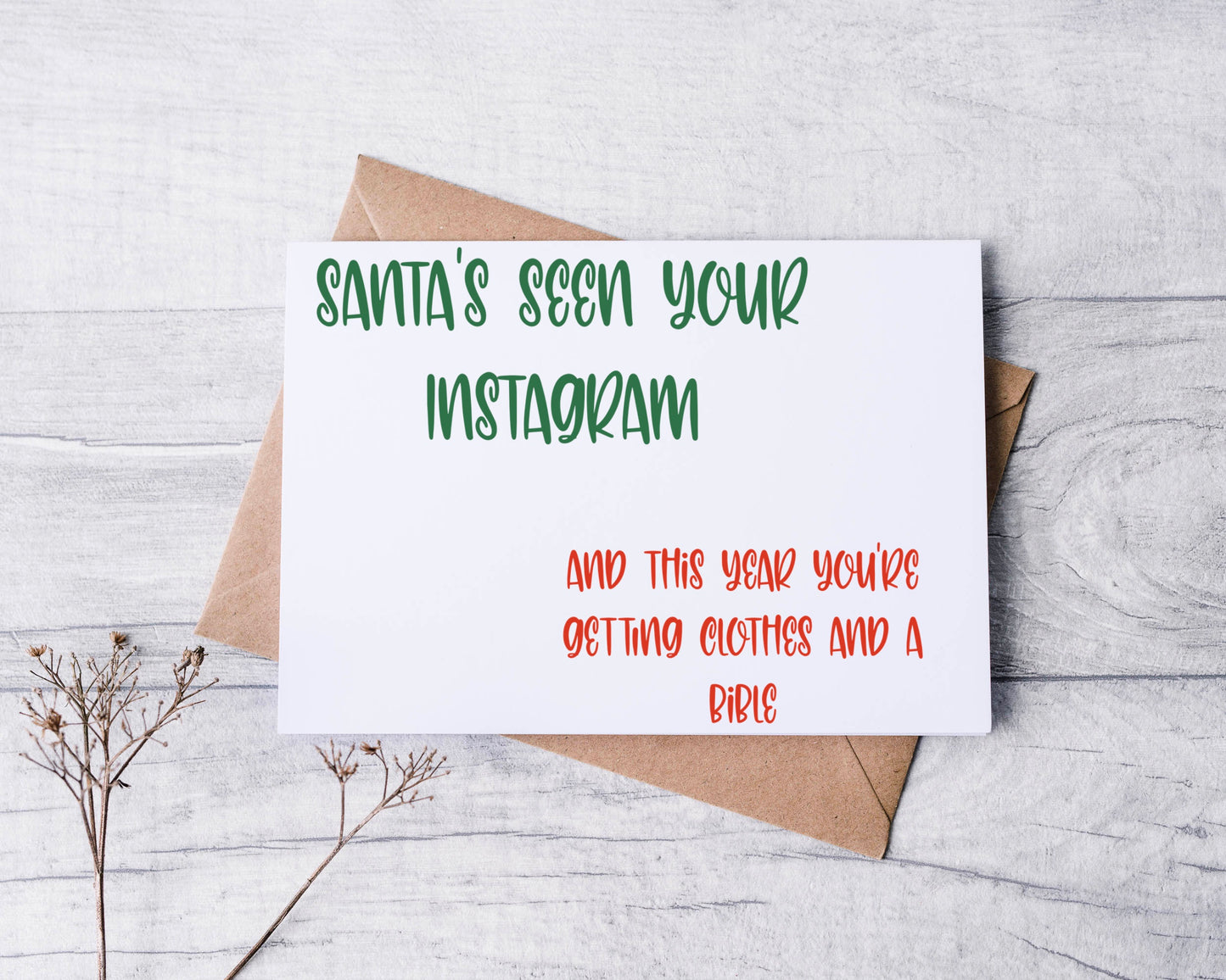 Santa's Seen Your Instagram You're Getting Clothes and a Bible Greeting Card